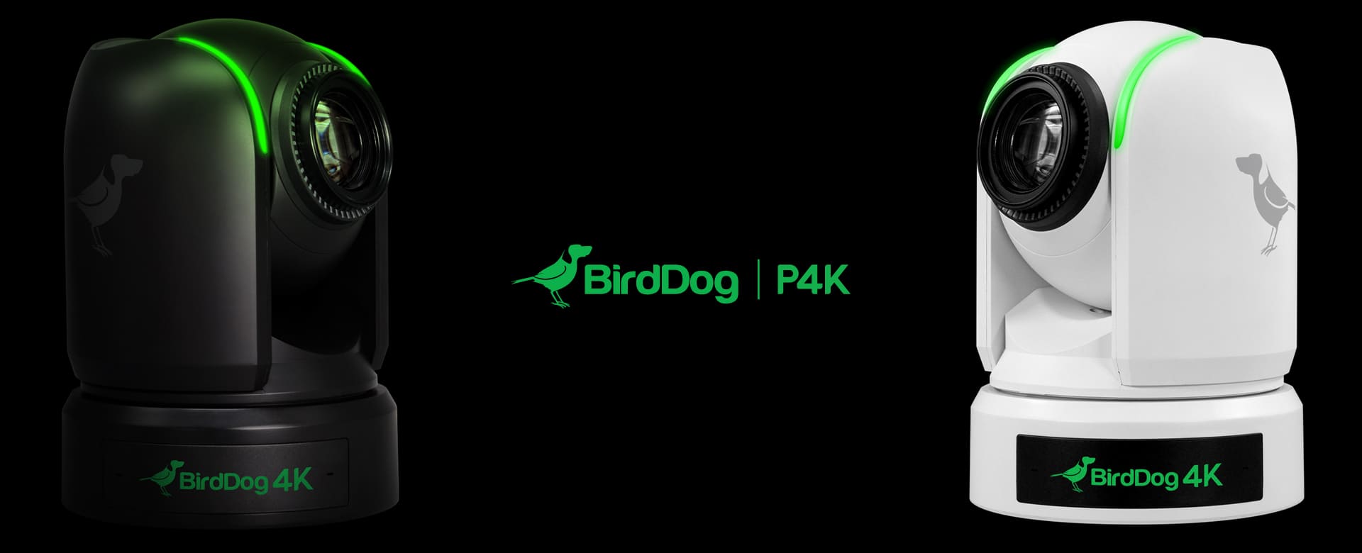 BirdDog P4K