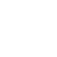 sE Electronics