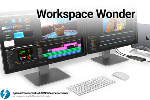 Echo Dual NVMe Thunderbolt Dock